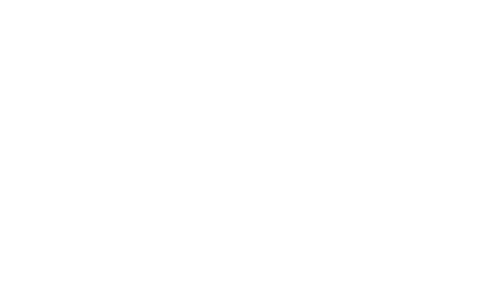 Transparentni-BEST